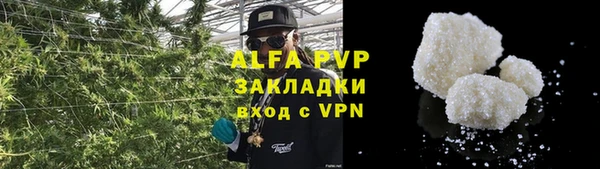 сатива Аркадак