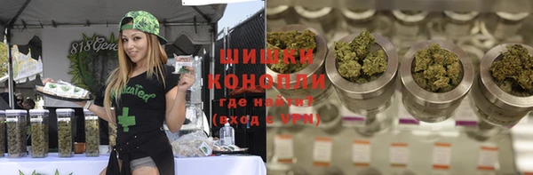 сатива Арсеньев