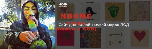 сатива Аркадак