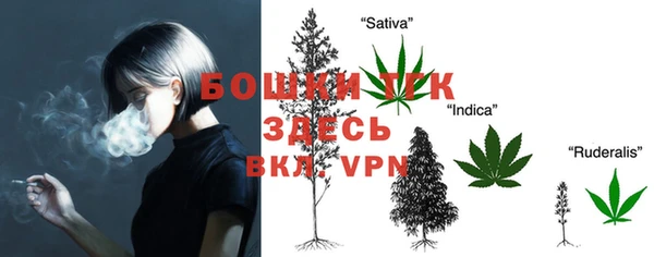 сатива Арсеньев