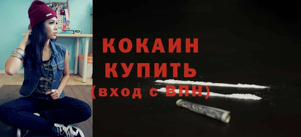 сатива Арсеньев