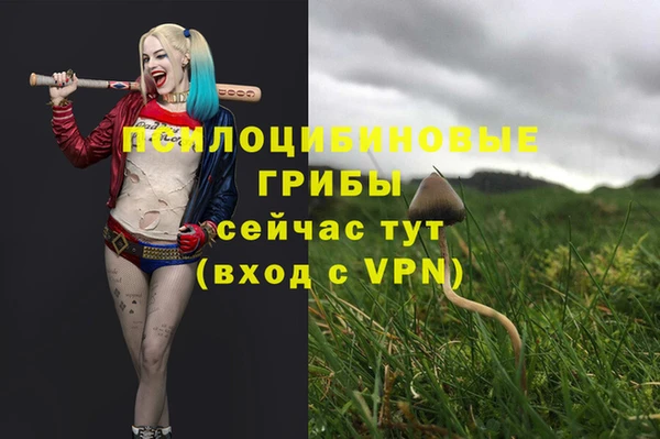 сатива Арсеньев